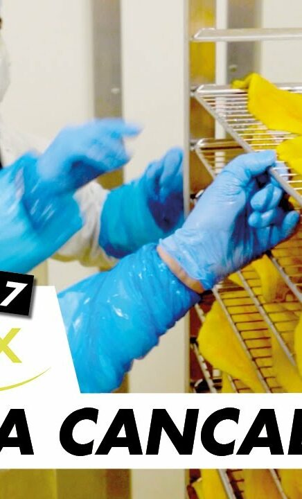 Immersion vidéo découverte métier recrutement marque employeur