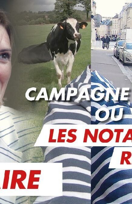 Immersion vidéo découverte métier recrutement marque employeur