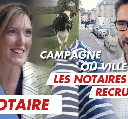 Immersion vidéo découverte métier recrutement marque employeur