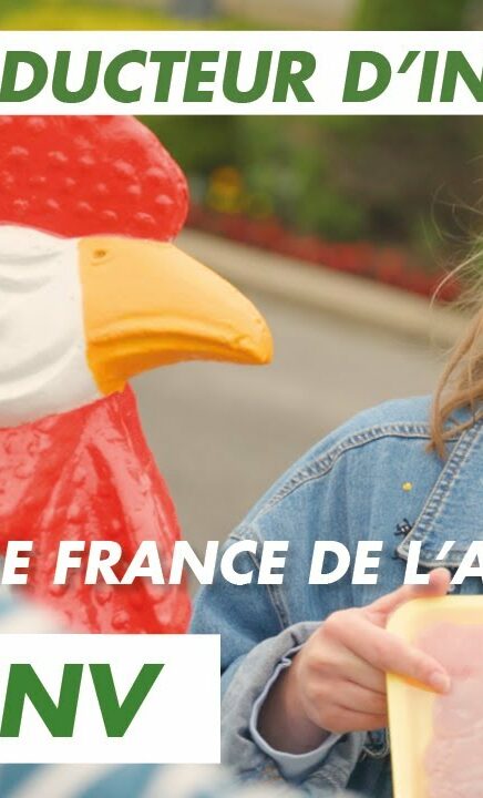 Immersion vidéo découverte métier recrutement marque employeur