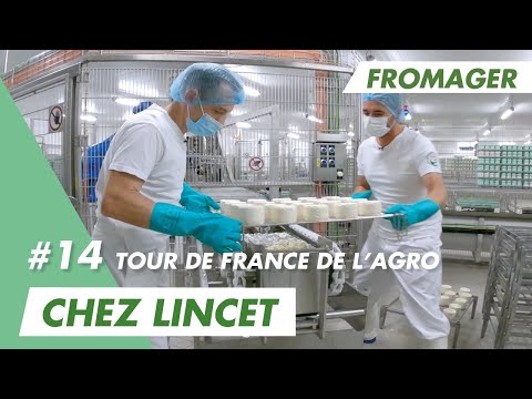 Lincet recrute pour fabriquer
son fameux Chaource