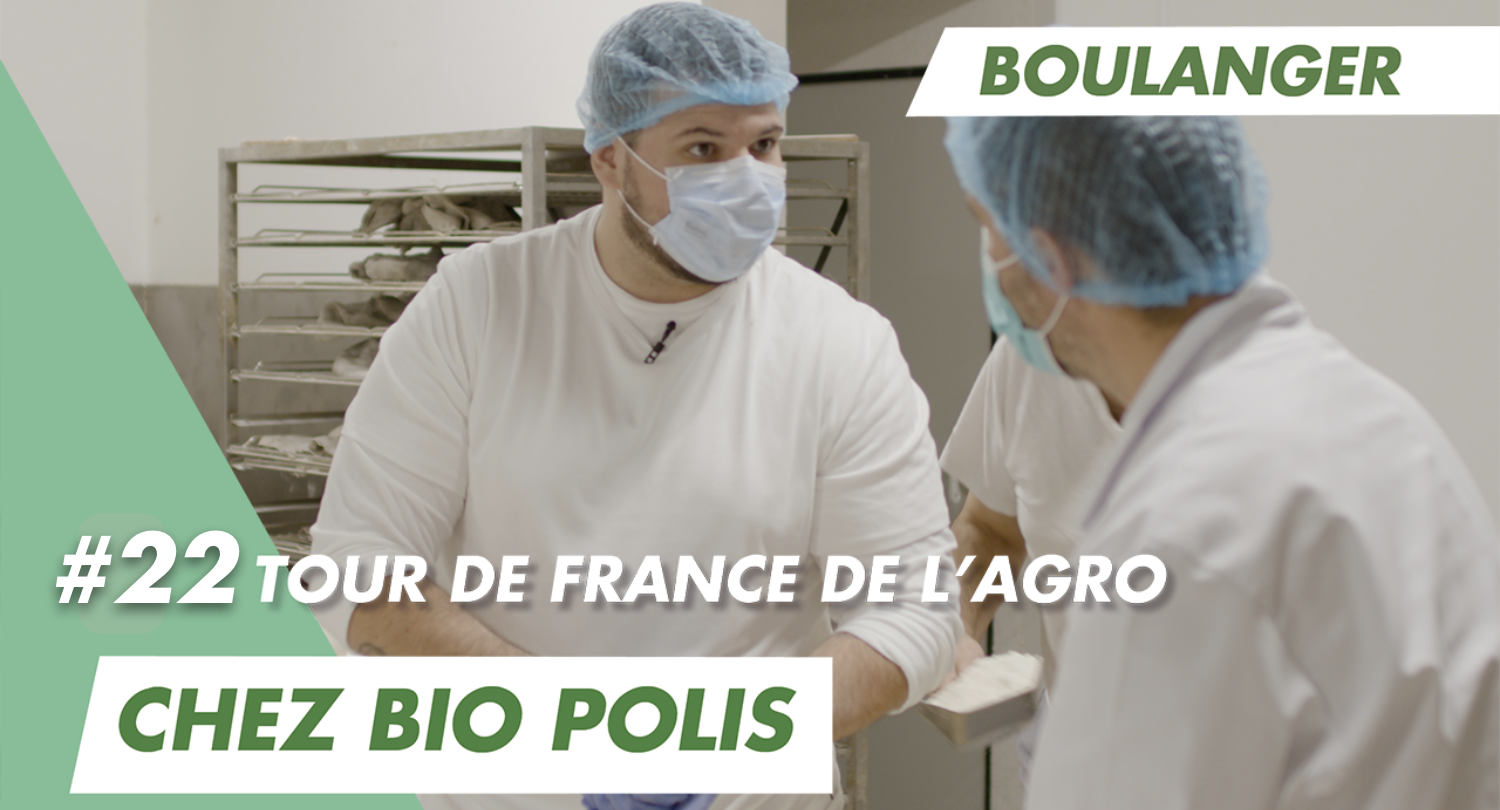 Devenir boulanger chez BioPolis qui embauche à Aubagne