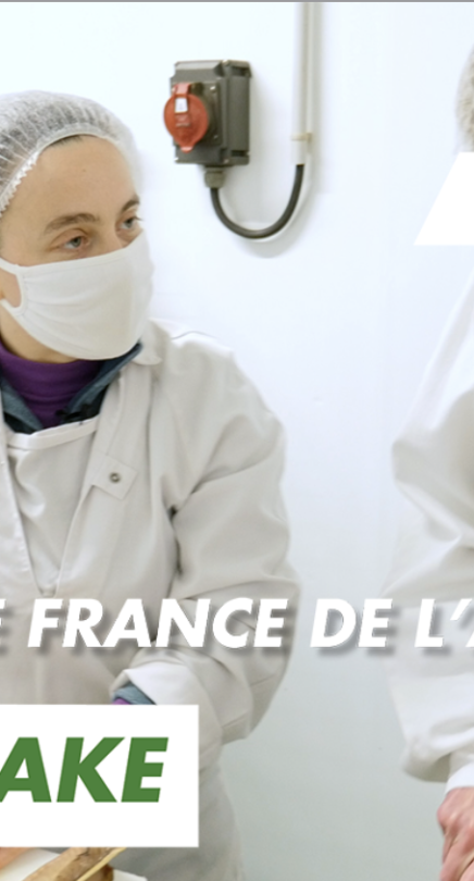 Immersion vidéo découverte métier recrutement marque employeur RH