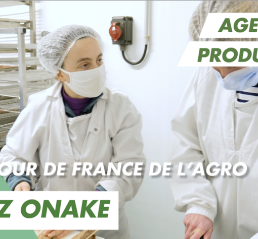 Immersion vidéo découverte métier recrutement marque employeur RH