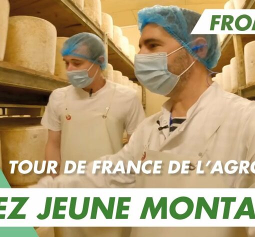 Immersion vidéo découverte métier recrutement marque employeur