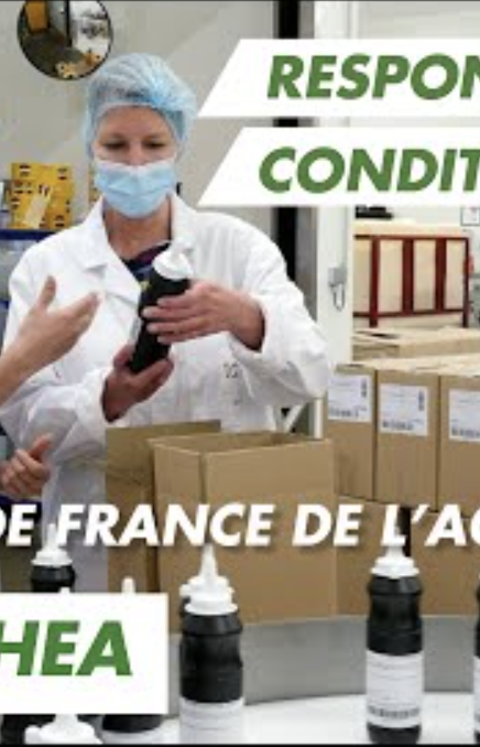Immersion vidéo découverte métier recrutement marque employeur RH