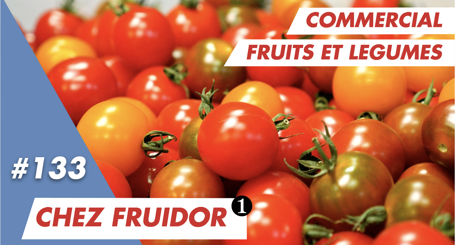 Immersion vidéo découverte métier recrutement marque employeur RH