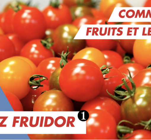 Immersion vidéo découverte métier recrutement marque employeur RH