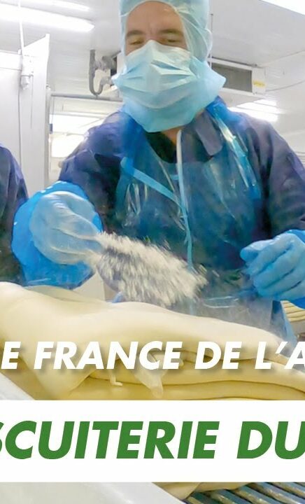 Immersion vidéo découverte métier recrutement marque employeur