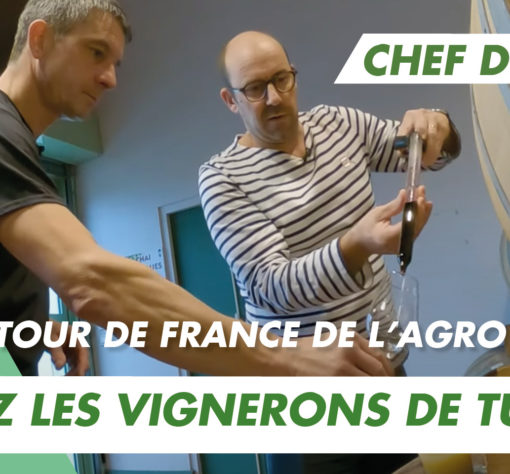 Le travail de chef de cave
chez les Vignerons de Tursan