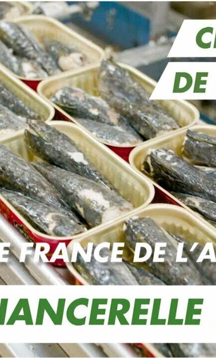 Immersion vidéo découverte métier recrutement marque employeur RH