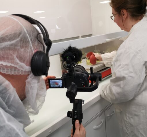 Immersion vidéo découverte métier recrutement marque employeur
