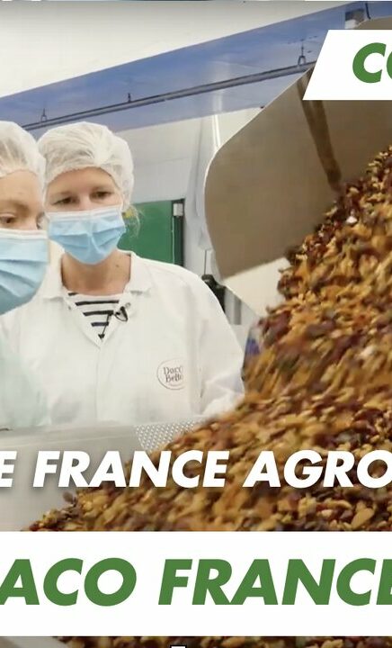 Immersion vidéo découverte métier recrutement marque employeur