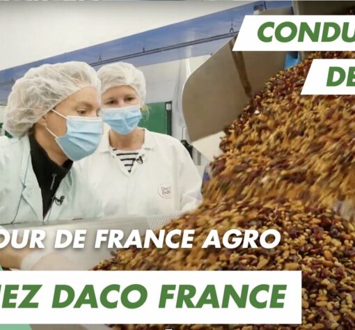Immersion vidéo découverte métier recrutement marque employeur