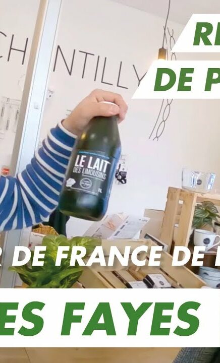 Immersion vidéo découverte métier recrutement marque employeur RH