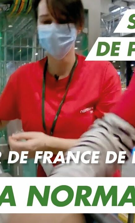 Immersion vidéo découverte métier recrutement marque employeur RH
