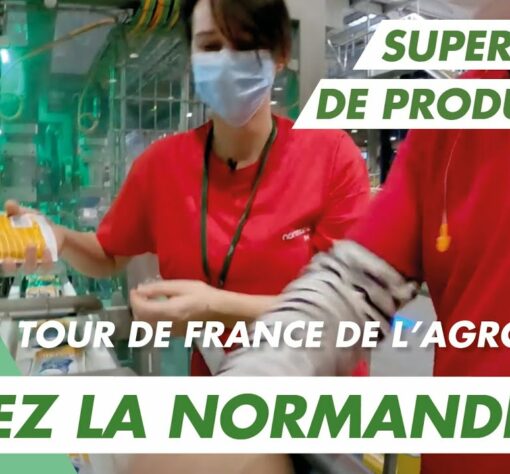 Immersion vidéo découverte métier recrutement marque employeur RH