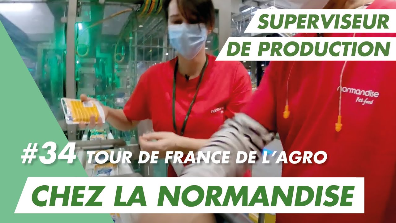 Immersion vidéo découverte métier recrutement marque employeur RH