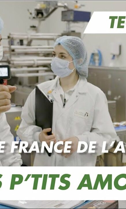 Immersion vidéo découverte métier recrutement marque employeur RH