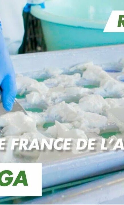 Immersion vidéo découverte métier recrutement marque employeur RH