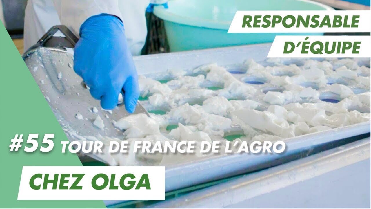 Immersion vidéo découverte métier recrutement marque employeur RH
