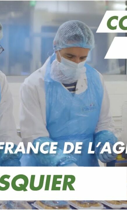 Immersion vidéo découverte métier recrutement marque employeur RH