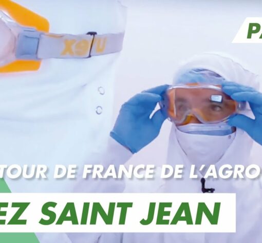 Immersion vidéo découverte métier recrutement marque employeur RH