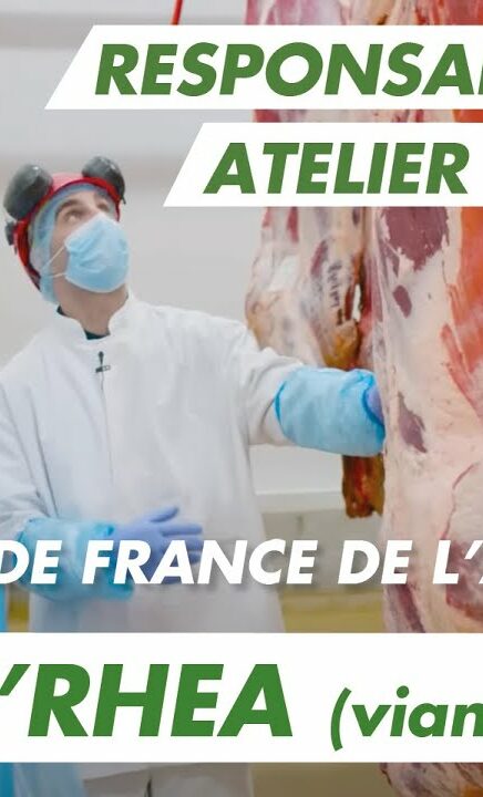 Immersion vidéo découverte métier recrutement marque employeur RH