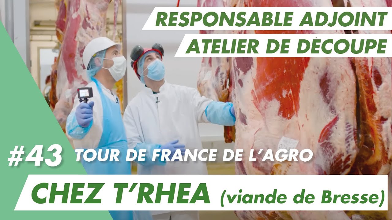 Immersion vidéo découverte métier recrutement marque employeur RH