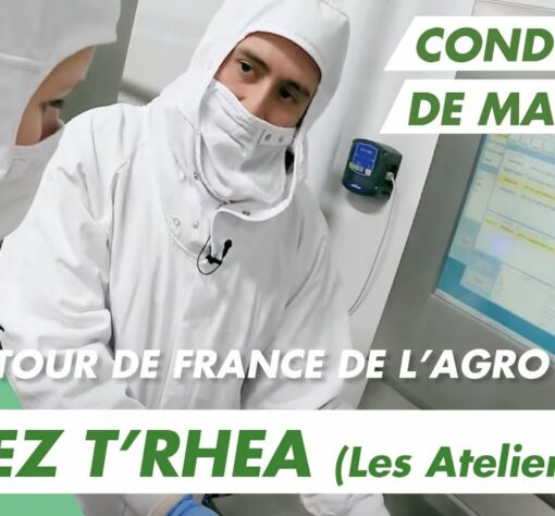 Immersion vidéo découverte métier recrutement marque employeur RH