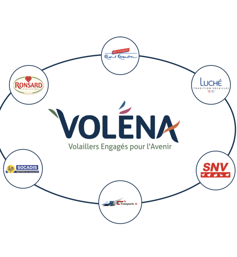 Pourquoi travailler
chez SNV - Voléna (groupe LDC) ?