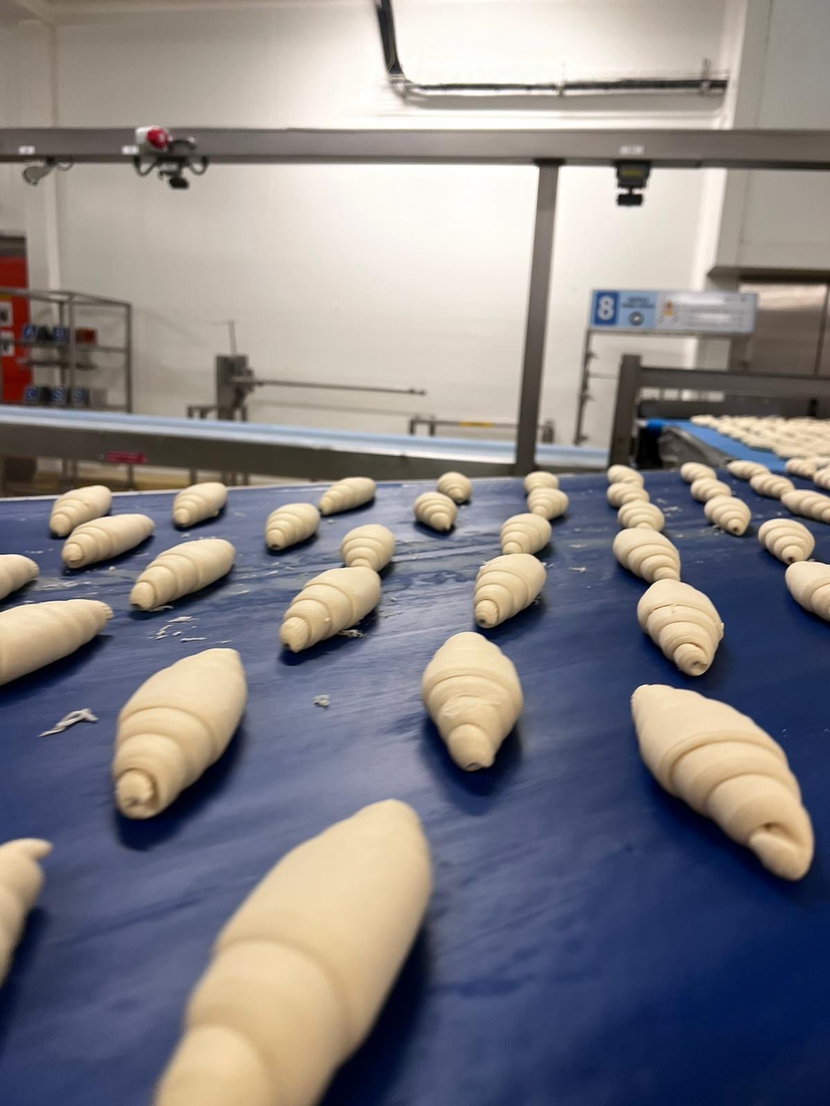 Immersion vidéo découverte métier recrutement marque employeur