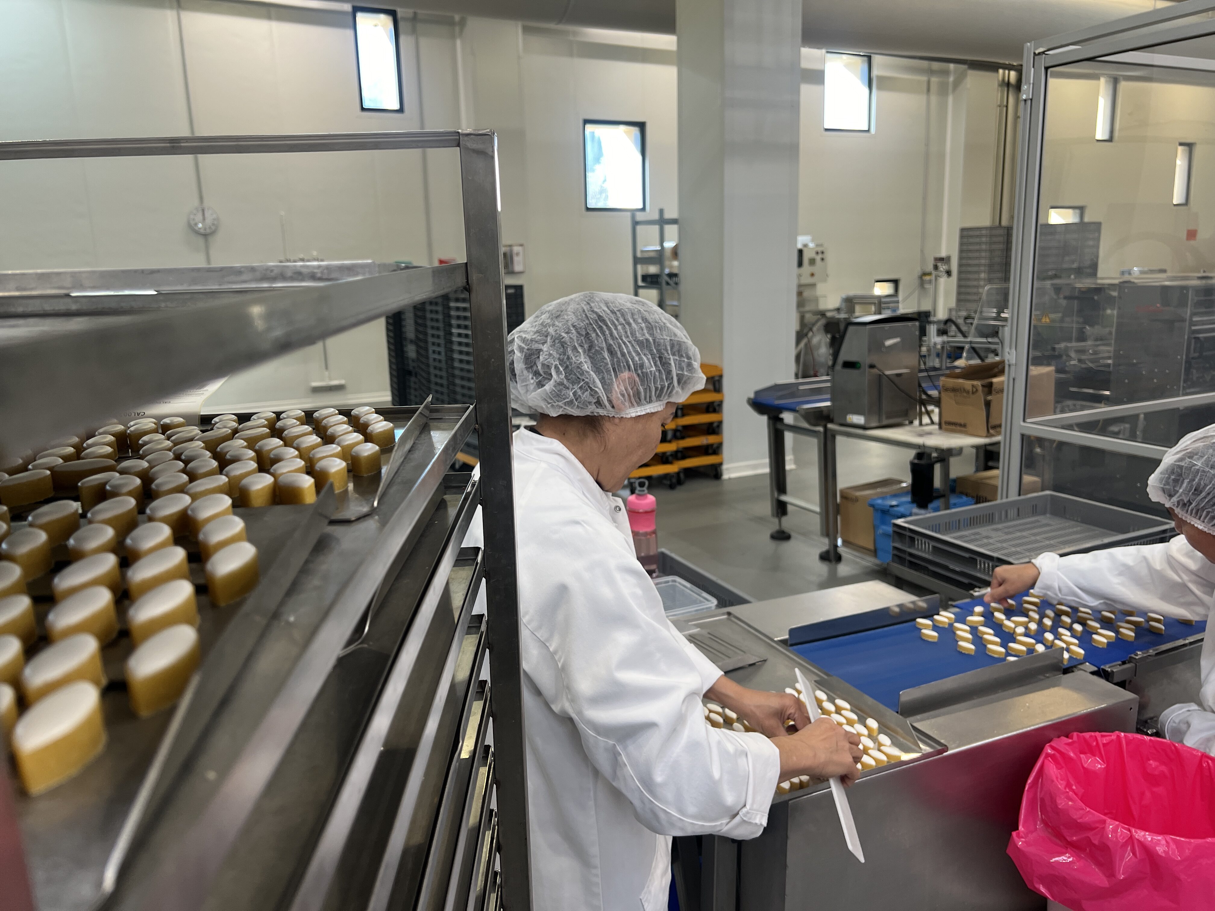 Immersion vidéo découverte métier recrutement marque employeur