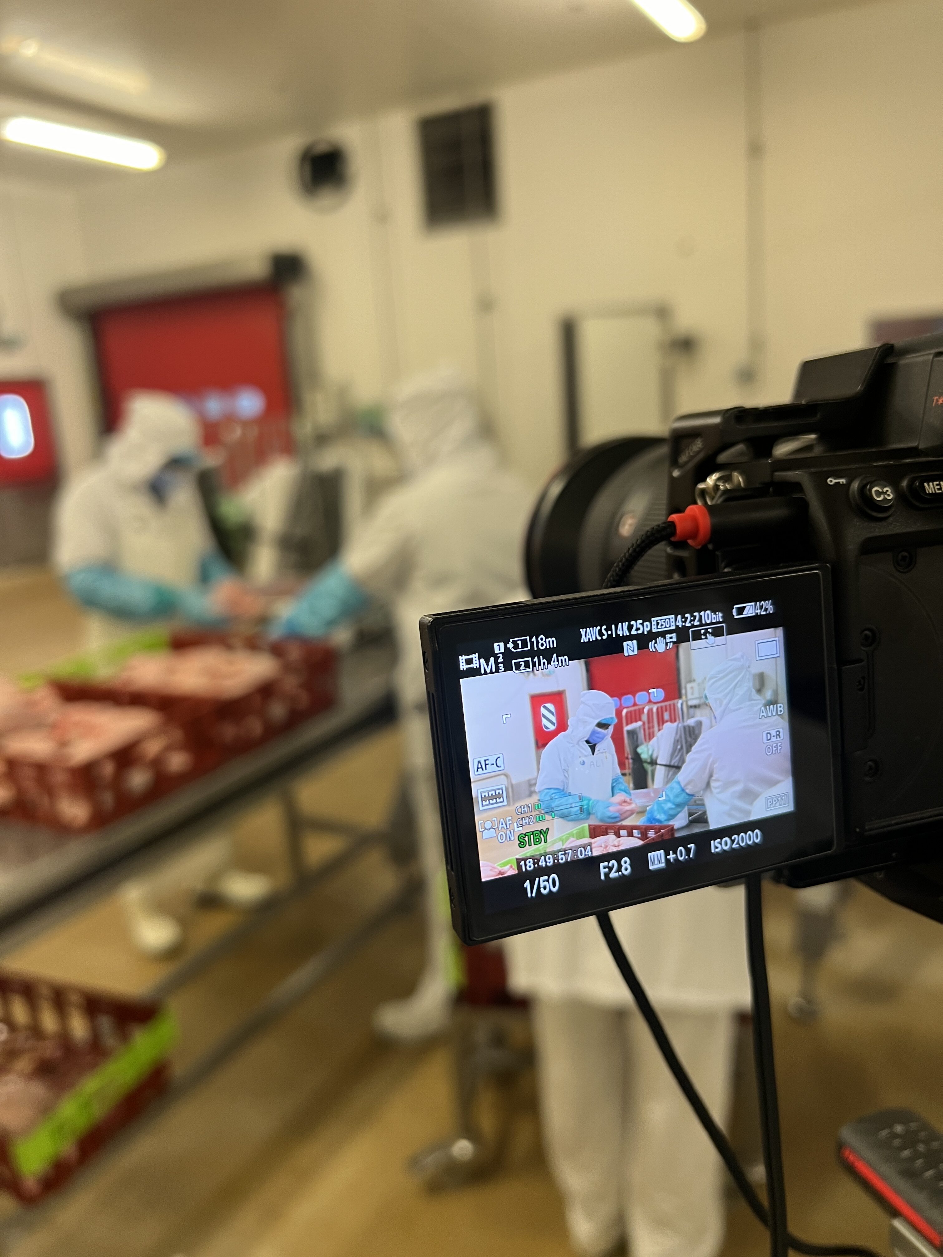 Immersion vidéo découverte métier recrutement marque employeur