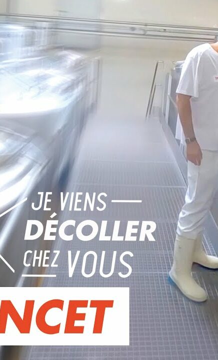 Immersion vidéo découverte métier recrutement marque employeur