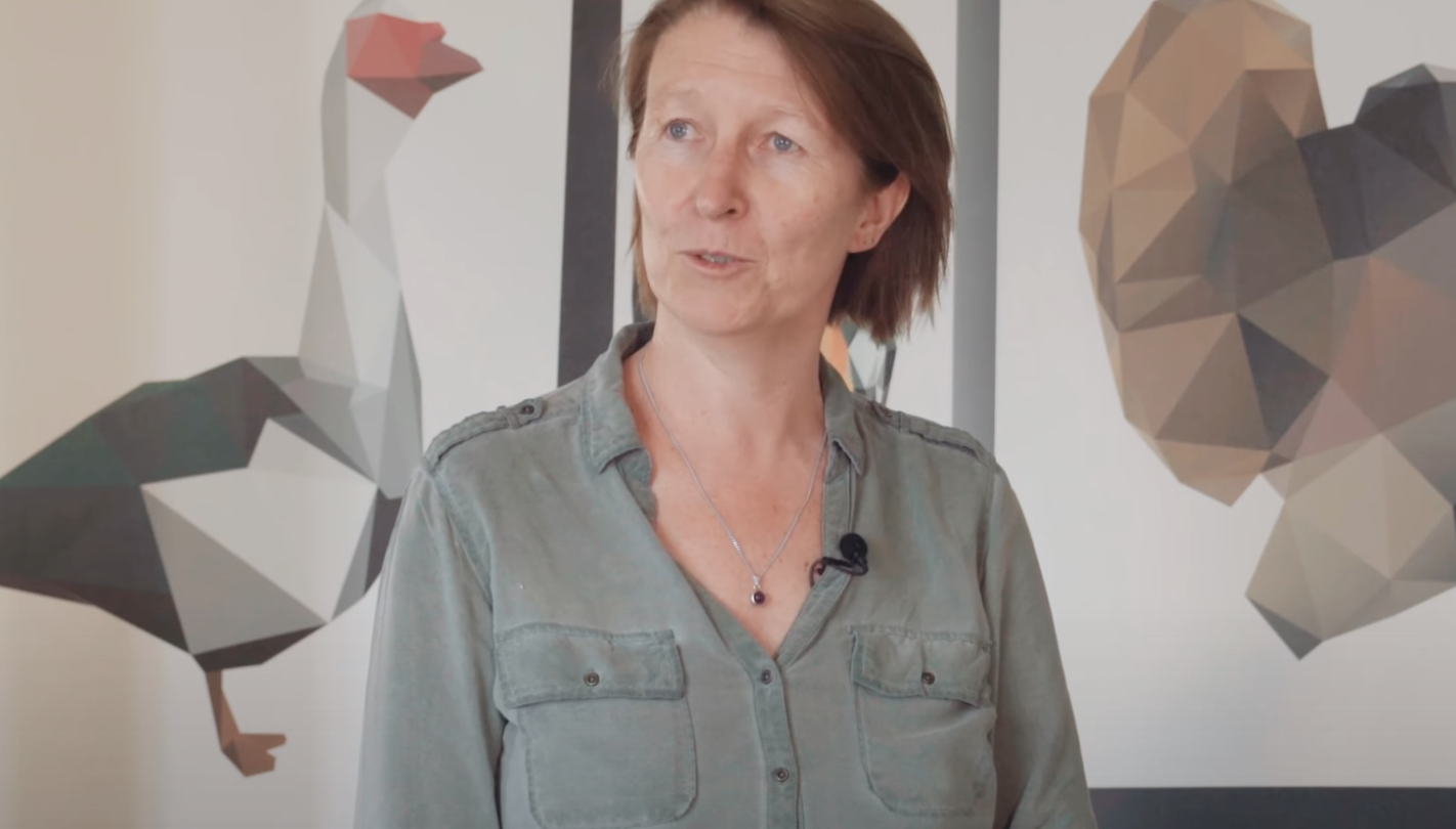 Immersion vidéo découverte métier recrutement marque employeur RH