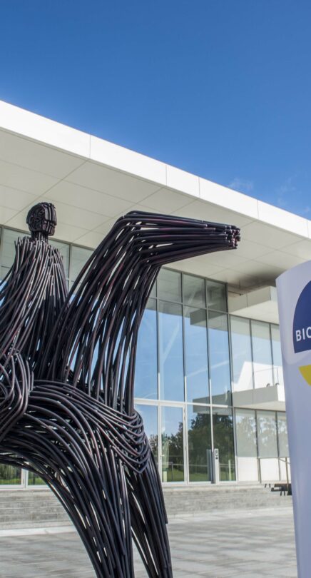 Immersion découverte métier recrutement marque employeur RH