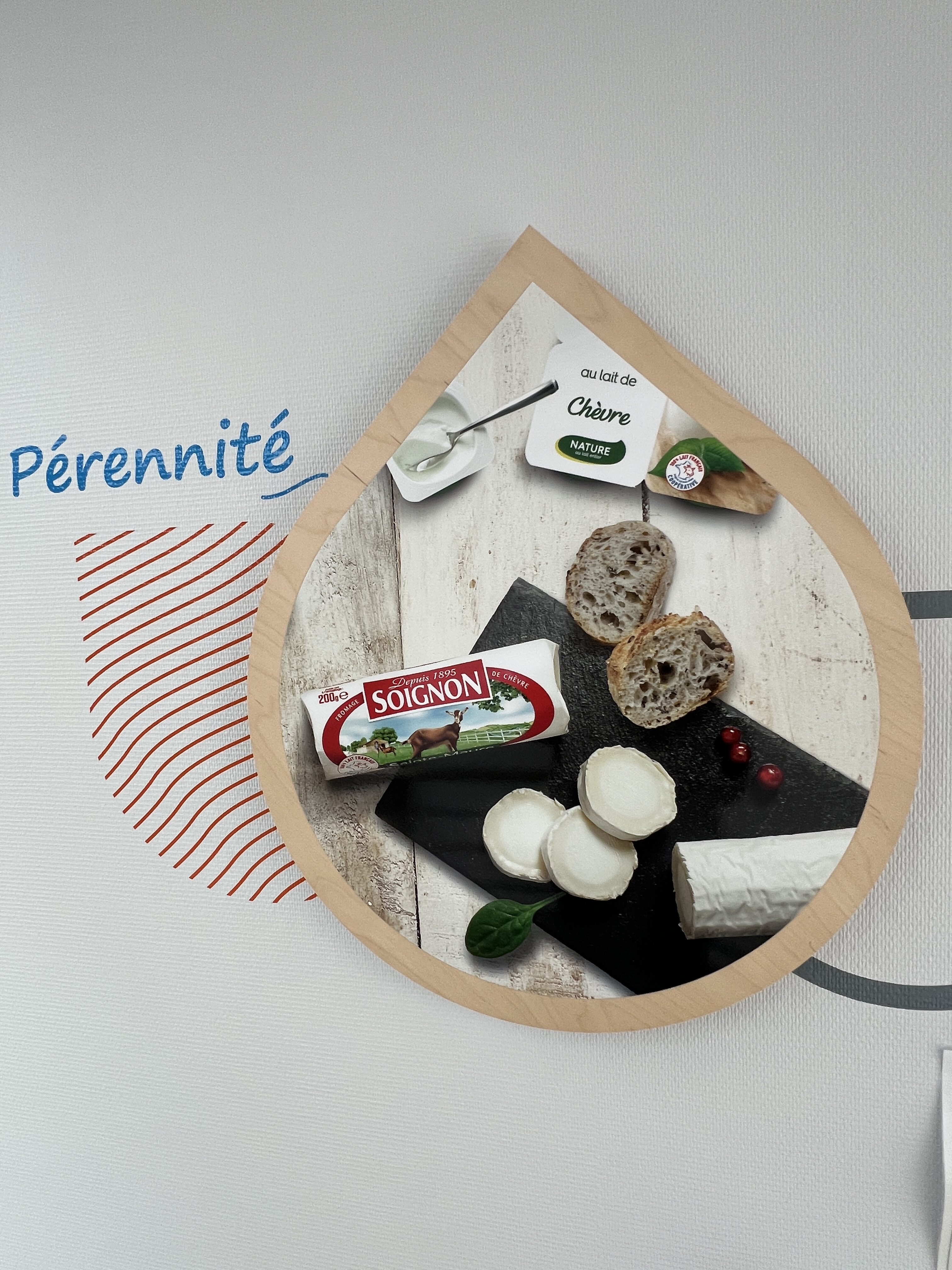Immersion vidéo découverte métier recrutement formation orientation marque employeur industrie agroalimentaire