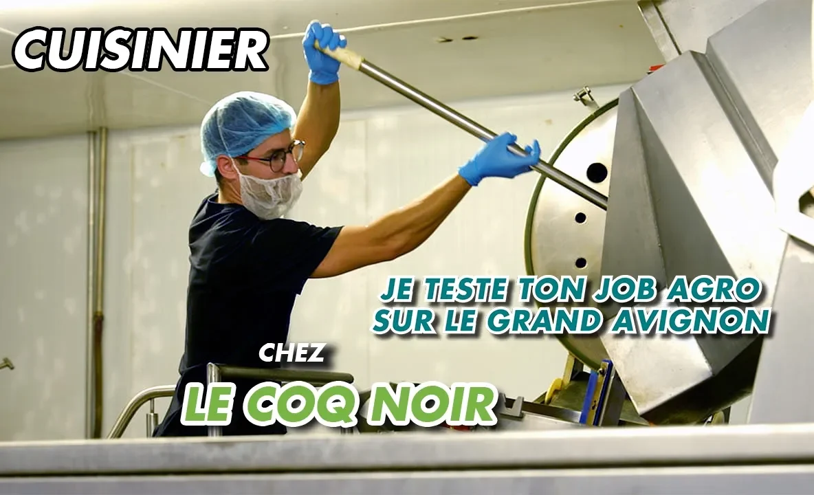 Avignon Cuisinier Le Coq Noir recrutement