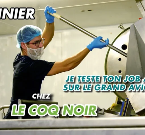 Avignon Cuisinier Le Coq Noir recrutement